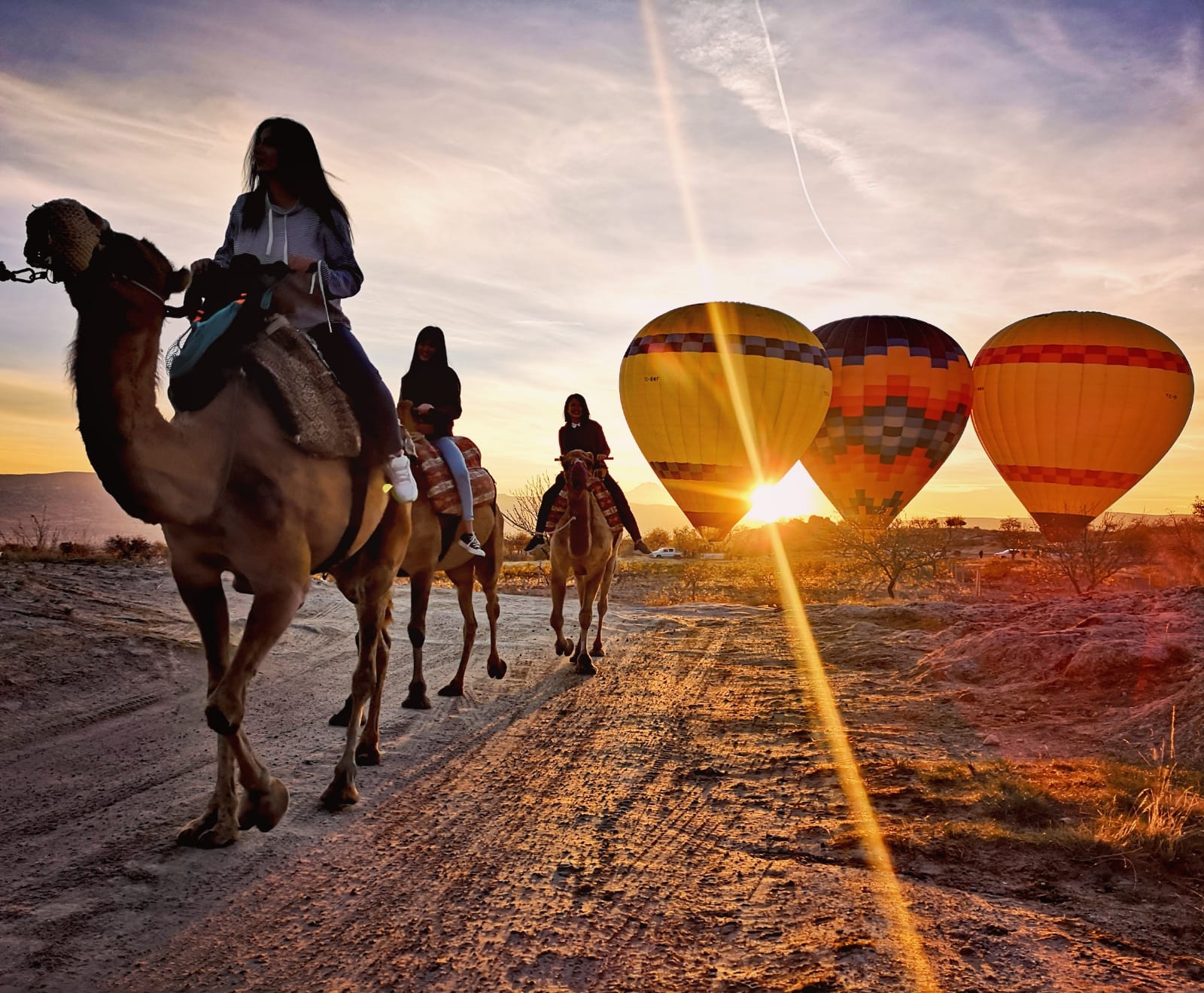 Camel Safari